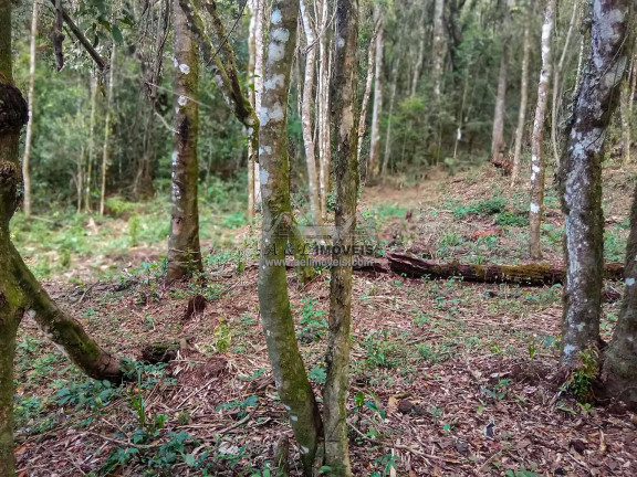 Imagem Terreno à Venda, 1 m² em Nova Capivari - Campos Do Jordão Imagem Terreno à Venda, 1 m² em Nova Capivari - Campos Do Jordão