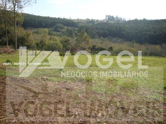 Imóvel à Venda, 13.000 m² em Morungava - Gravatai