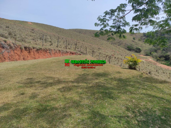 Imagem Chácara com 2 Quartos à Venda, 20.000 m² em Canaã - Jambeiro Imagem Chácara com 2 Quartos à Venda, 20.000 m² em Canaã - Jambeiro