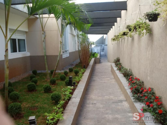 Imagem Apartamento com 3 Quartos à Venda, 69 m² em Sítio Do Mandaqui - São Paulo