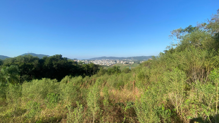 Imagem Terreno à Venda, 61.000 m² em Ambrósio - Garopaba