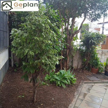 Imagem Casa com 3 Quartos à Venda, 171 m² em Jardim Da Gloria - São Paulo Imagem Casa com 3 Quartos à Venda, 171 m² em Jardim Da Gloria - São Paulo