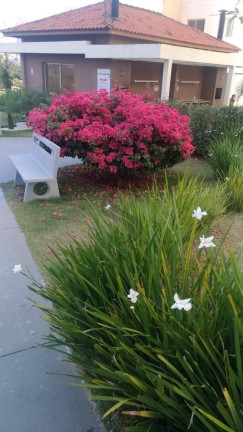 Imagem Apartamento com 2 Quartos à Venda, 47 m² em Parque Campolim - Sorocaba Imagem Apartamento com 2 Quartos à Venda, 47 m² em Parque Campolim - Sorocaba