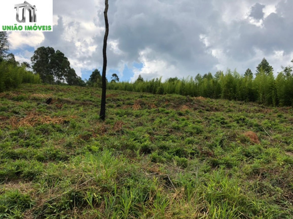 Imagem Terreno à Venda, 2.501 m² em Bairro Agudos - Bragança Paulista