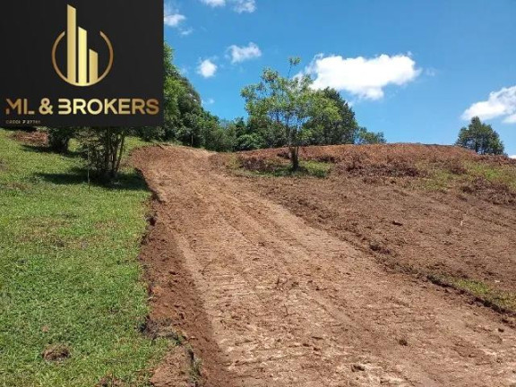 Imagem Imóvel à Venda, 10.000 m² em Centro - Bocaiuva Do Sul