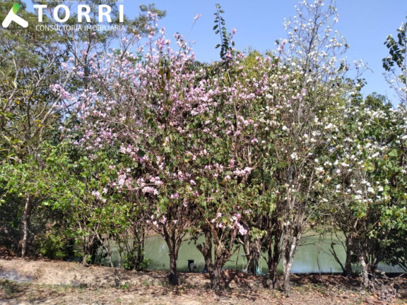 Imagem Terreno à Venda, 20.000 m² em Cercado - Araçoiaba Da Serra
