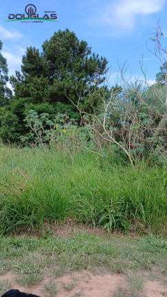 Terreno para Alugar, 550 m² em águas Claras - Viamão