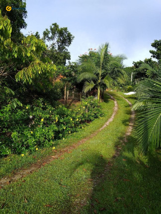 Imagem Fazenda à Venda, 10.000 m² em Vila Junckes - São Pedro De Alcântara Imagem Fazenda à Venda, 10.000 m² em Vila Junckes - São Pedro De Alcântara