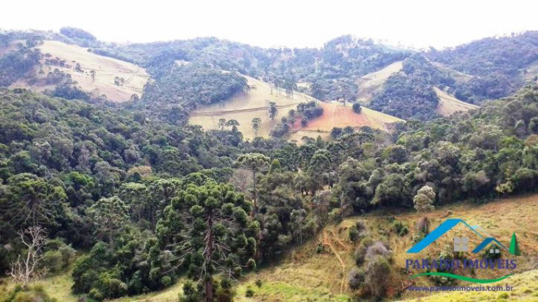 Imagem Chácara à Venda, 89 m² em Centro - Gonçalves Imagem Chácara à Venda, 89 m² em Centro - Gonçalves
