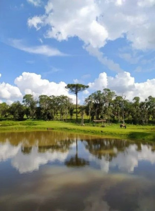 Imagem Fazenda à Venda, em Cachoeira - Araucaria Imagem Fazenda à Venda, em Cachoeira - Araucaria