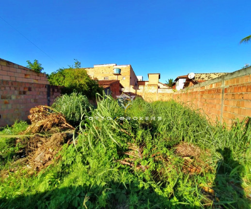 Imagem Terreno à Venda, 250 m² em Morada Do Atlantico - Santa Cruz Cabrália Imagem Terreno à Venda, 250 m² em Morada Do Atlantico - Santa Cruz Cabrália