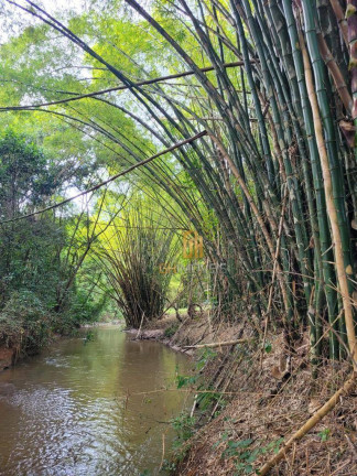 Imagem Chácara com 4 Quartos à Venda, 720 m² em Cachoeirinha - Aragoiânia