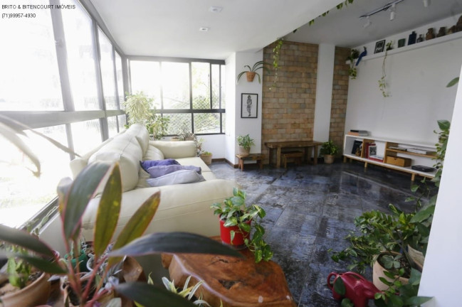 Imagem Cobertura com 3 Quartos à Venda, 240 m² em Horto Florestal - Salvador
