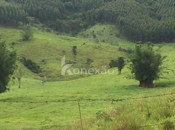 Imagem Fazenda à Venda, 400 m² em Jardim Prado - Santa Branca