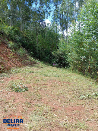 Imagem Chácara com 2 Quartos à Venda, 1 m² em Ribeirão Acima - Nazaré Paulista