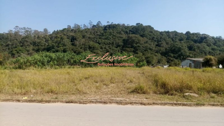 Imagem Chácara à Venda, 4.000 m² em Ipelândia - Suzano Imagem Chácara à Venda, 4.000 m² em Ipelândia - Suzano