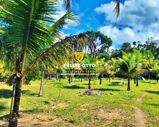 Imagem Imóvel com 2 Quartos à Venda, 80.000 m² em Yaya - Santa Cruz Cabrália Imagem Imóvel com 2 Quartos à Venda, 80.000 m² em Yaya - Santa Cruz Cabrália