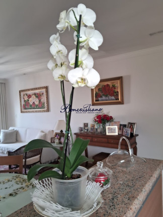 Imagem Apartamento com 2 Quartos à Venda, 132 m² em Tucuruvi - Sao Paulo Imagem Apartamento com 2 Quartos à Venda, 132 m² em Tucuruvi - Sao Paulo