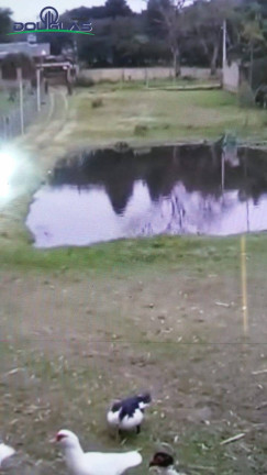 Imagem Terreno à Venda, 8.000 m² em águas Claras - Viamão Imagem Terreno à Venda, 8.000 m² em águas Claras - Viamão