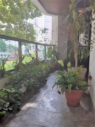Imagem Apartamento com 4 Quartos à Venda, 172 m² em Moema - São Paulo Imagem Apartamento com 4 Quartos à Venda, 172 m² em Moema - São Paulo