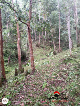 Imagem Terreno à Venda, 8 m² em Bairro Do Centro - Piranguçu Imagem Terreno à Venda, 8 m² em Bairro Do Centro - Piranguçu