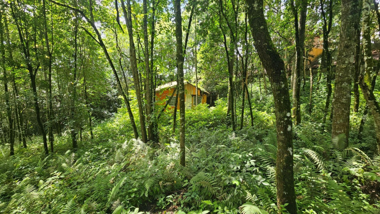 Imagem Terreno à Venda, em São Miguel - Almirante Tamandare Imagem Terreno à Venda, em São Miguel - Almirante Tamandare
