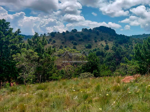 Imagem Terreno à Venda, 1 m² em Atalaia - Campos Do Jordão Imagem Terreno à Venda, 1 m² em Atalaia - Campos Do Jordão