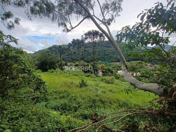 Imagem Imóvel com 3 Quartos à Venda, 16.000 m² em Vargem Grande - Teresópolis Imagem Imóvel com 3 Quartos à Venda, 16.000 m² em Vargem Grande - Teresópolis