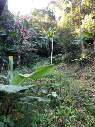Imagem Chácara com 2 Quartos à Venda, em Terra Preta - Mairiporã Imagem Chácara com 2 Quartos à Venda, em Terra Preta - Mairiporã