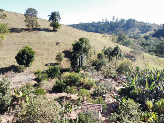 Imagem Fazenda à Venda, 10.000 m² em Fazenda Jacaré - Santa Branca Imagem Fazenda à Venda, 10.000 m² em Fazenda Jacaré - Santa Branca