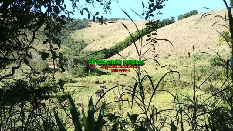 Fazenda à Venda, 20 m² em Centro - Monteiro Lobato