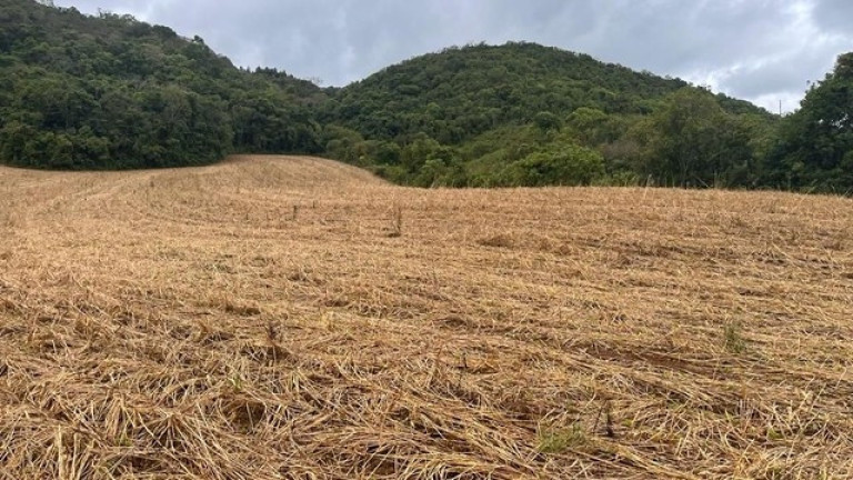Imóvel à Venda, 96.800 m² em Meia Lua Dos Freita - Campo Magro