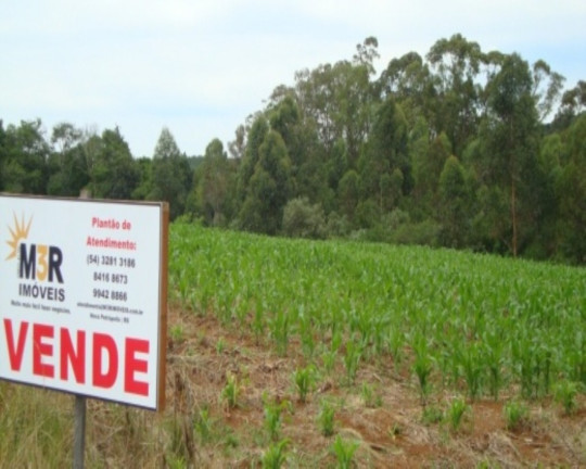 Imagem Terreno à Venda, 12 m² em Linha Imperial - Nova Petrópolis Imagem Terreno à Venda, 12 m² em Linha Imperial - Nova Petrópolis
