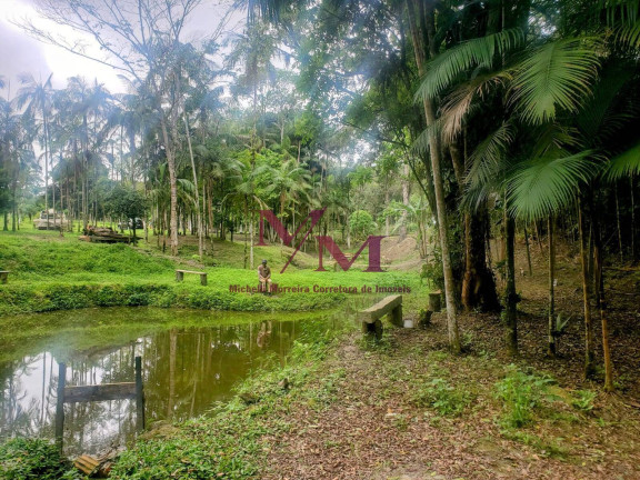 Imagem Chácara com 3 Quartos à Venda, 8.000 m² em Alexandra - Paranaguá