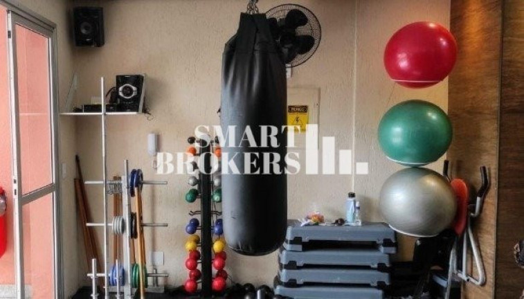 Imagem Apartamento com 3 Quartos à Venda, 74 m² em Cambuci - São Paulo