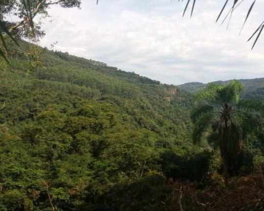 Imagem Imóvel à Venda, em São Jacó - Nova Petrópolis Imagem Imóvel à Venda, em São Jacó - Nova Petrópolis