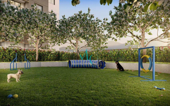 Imagem Apartamento com 3 Quartos à Venda, 67 m² em Barra Da Tijuca - Rio De Janeiro Imagem Apartamento com 3 Quartos à Venda, 67 m² em Barra Da Tijuca - Rio De Janeiro