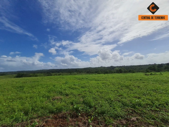 Imagem Imóvel com 2 Quartos à Venda, 975.787 m² em Barra De Pojuca - Camaçari