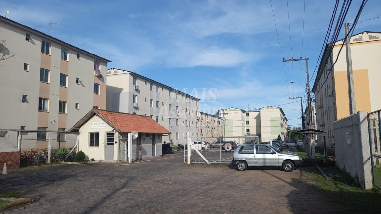 Imagem Apartamento com 2 Quartos à Venda, 38 m² em Rio Dos Sinos - São Leopoldo Imagem Apartamento com 2 Quartos à Venda, 38 m² em Rio Dos Sinos - São Leopoldo