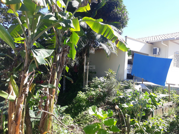 Imagem Imóvel com 3 Quartos à Venda, em Centro - São João Batista Imagem Imóvel com 3 Quartos à Venda, em Centro - São João Batista