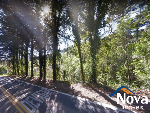 Imagem Imóvel à Venda, 2.500 m² em Piá - Nova Petrópolis Imagem Imóvel à Venda, 2.500 m² em Piá - Nova Petrópolis