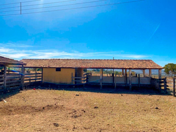 Imagem Fazenda à Venda, 500.000 m² em Zona Rural - Luziânia Imagem Fazenda à Venda, 500.000 m² em Zona Rural - Luziânia