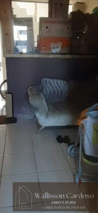 Imagem Sobrado com 2 Quartos à Venda, 117 m² em Santa Regina - Camboriú