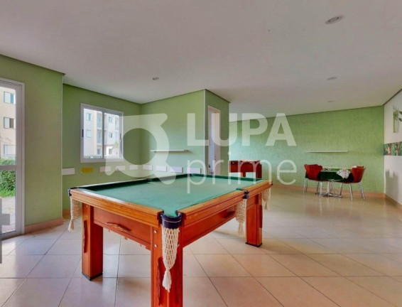 Imagem Apartamento com 3 Quartos à Venda, 63 m² em Vila Guilherme - São Paulo Imagem Apartamento com 3 Quartos à Venda, 63 m² em Vila Guilherme - São Paulo