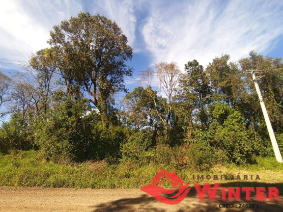 Imagem Terreno à Venda, 699 m² em Arroio Feliz - Feliz Imagem Terreno à Venda, 699 m² em Arroio Feliz - Feliz