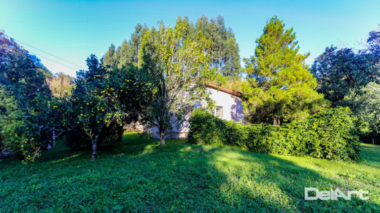 Imagem Chácara com 4 Quartos à Venda, 200 m² em área Rural - Mafra