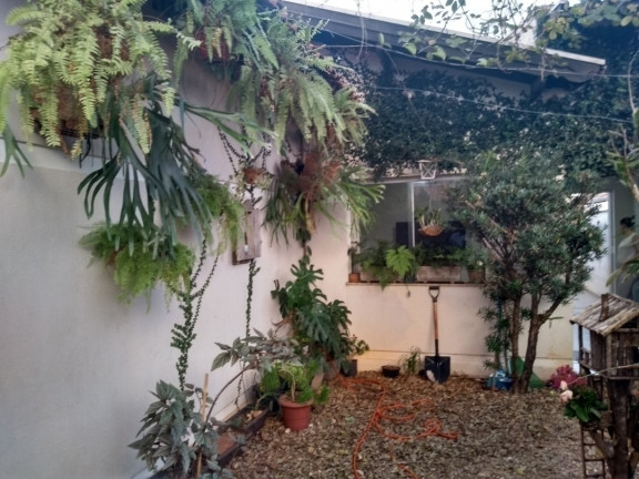 Imagem Casa com 3 Quartos à Venda, 180 m² em Bauru