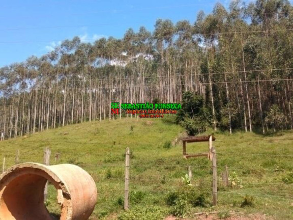 Imagem Fazenda à Venda, 58 m² em Centro - Paraibuna Imagem Fazenda à Venda, 58 m² em Centro - Paraibuna