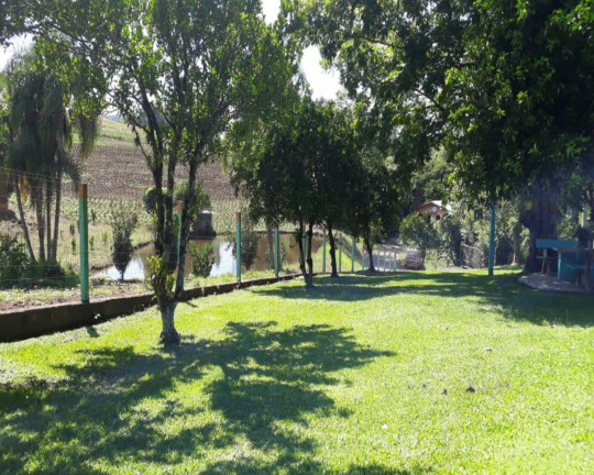 Imagem Imóvel com 3 Quartos à Venda,  em Linha Olinda - Nova Petrópolis