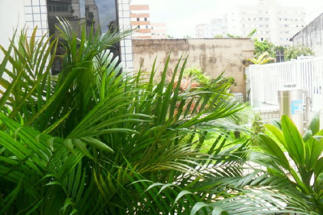 Imagem Apartamento com 2 Quartos à Venda, 85 m² em Encruzilhada - Santos Imagem Apartamento com 2 Quartos à Venda, 85 m² em Encruzilhada - Santos